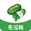 冬瓜轉(zhuǎn)