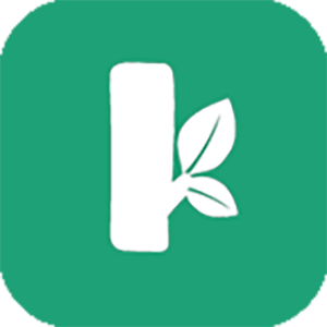 樹(shù)樁網(wǎng)