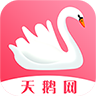 天鵝網(wǎng)