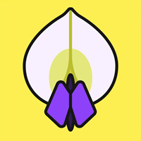 紫藤網(wǎng)零花錢